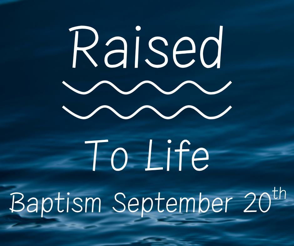 Baptism slide (Slide)